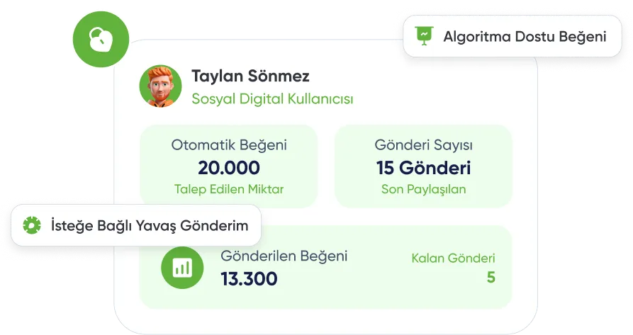 Hızlı TikTok Beğeni Satın Al, Sonuçları Hemen Gör