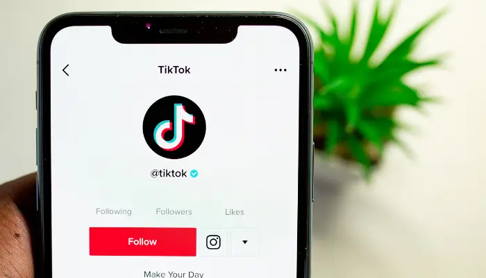 TikTok video indir