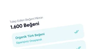 Instagram Beğeni Çeşitliliği