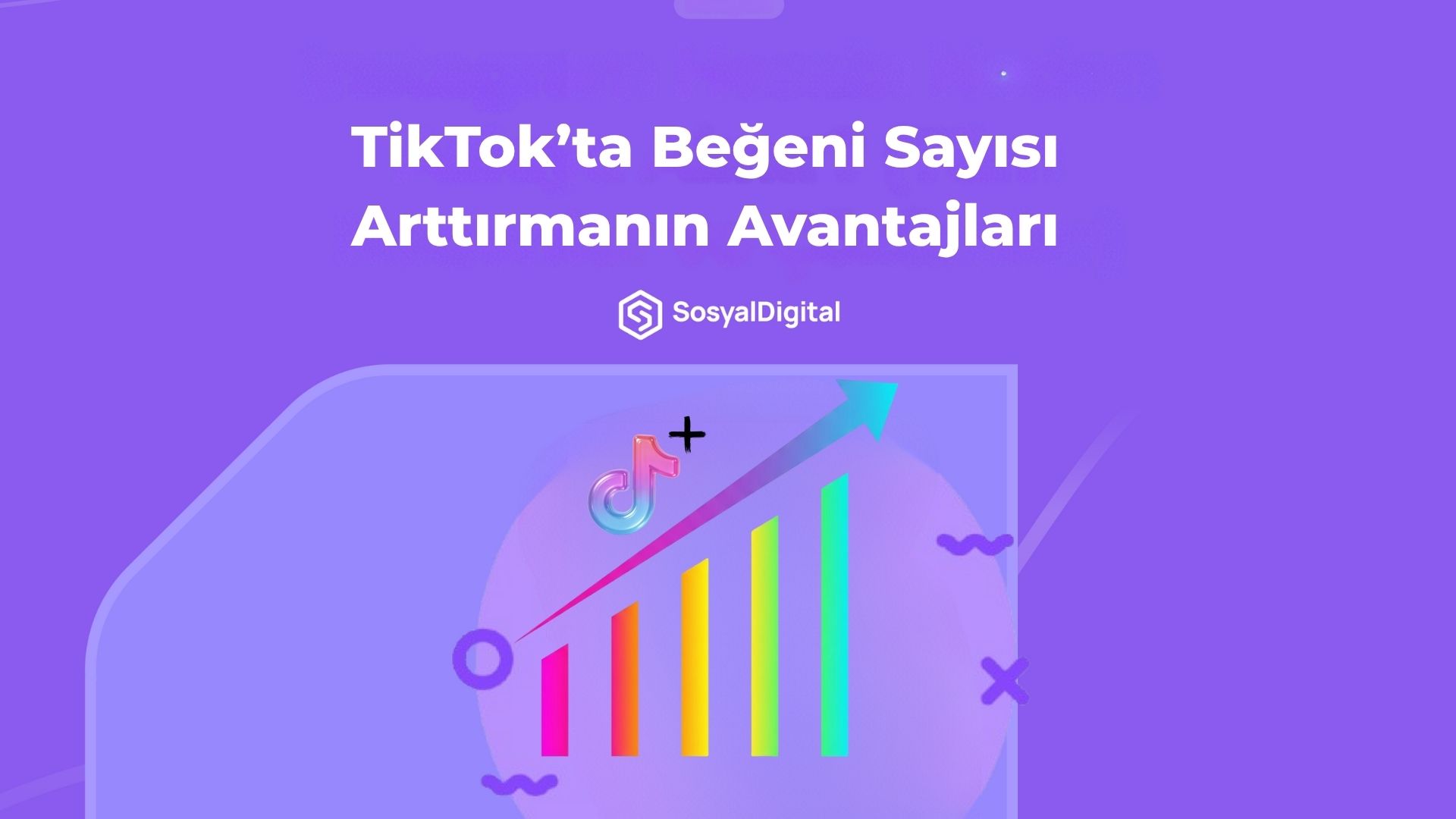 tiktok beğeni satın alma